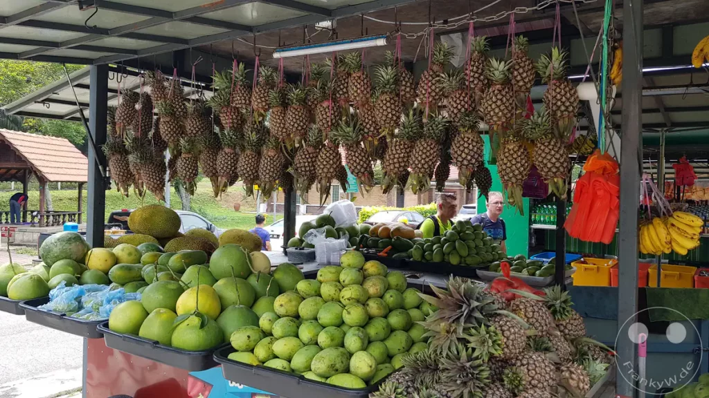Obststand an einer Raststätte bei Tangkak in Malaysia mit aufgehängten Ananas, frischen Mangos und weiteren tropischen Früchten im Straßenverkauf.