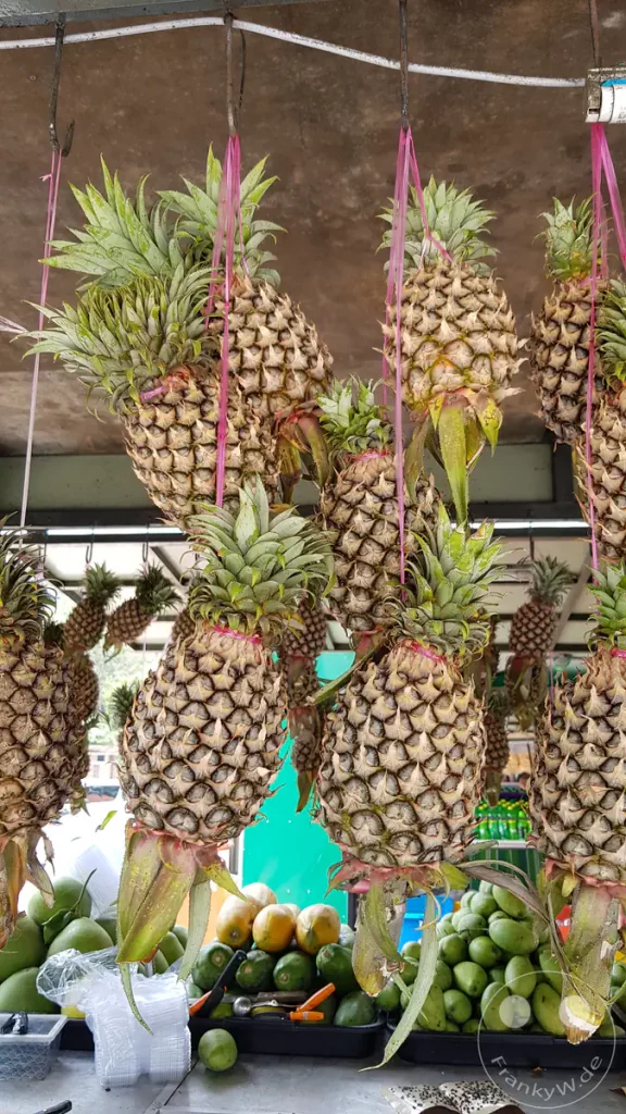 Frische Ananas hängen an Schnüren an einem Obststand einer malaysischen Raststätte bei Tangkak. Im Hintergrund lagern Mangos und Papayas.