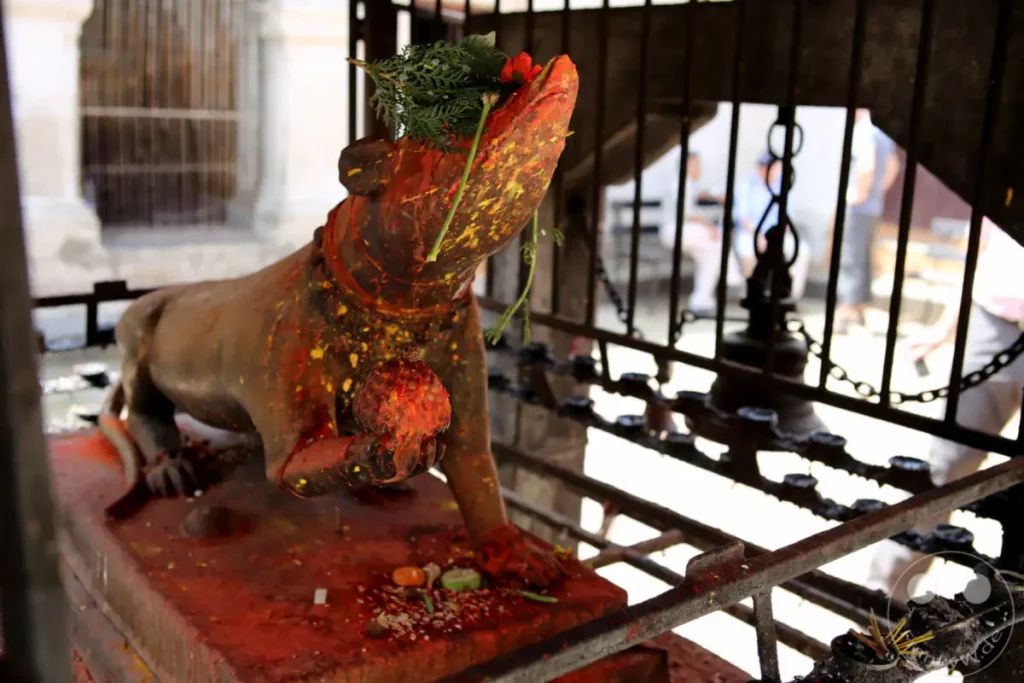 Eine bemalte Tierfigur, wahrscheinlich ein Hund, steht im Vordergrund des Jal Binayak Tempels in Bhaktapur, Nepal. Die Figur und ihre Umgebung sind mit bunten Pulvern und Opfergaben geschmückt, was auf religiöse Rituale hinweist. Im Hintergrund sind die Gitterstruktur des Schreins und schemenhaft Besucher zu erkennen.