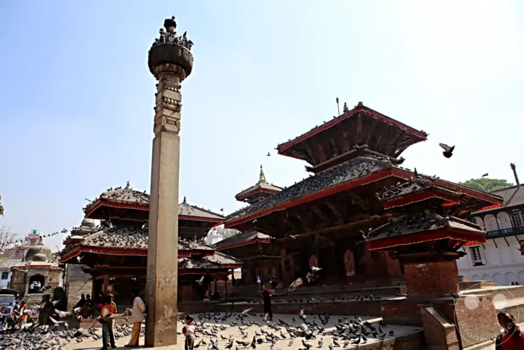 Der Kathmandu Durbar Square in Nepal ist ein historischer Platz voller Tempel und Paläste. Eine große Anzahl von Tauben bevölkert den Platz und die Dächer der traditionellen Gebäude, was eine lebhafte Atmosphäre schafft.