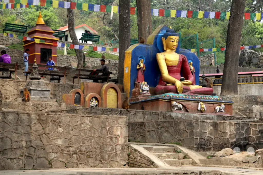 Eine große Buddha-Statue dominiert die Szene, umgeben von bunten Gebetsfahnen, die im Wind flattern. Mehrere Affen sind auf den steinernen Terrassen und Strukturen zu sehen, die das Gelände strukturieren. Die Szenerie vermittelt eine friedliche, aber lebendige Atmosphäre, typisch für Tempelanlagen in Kathmandu.