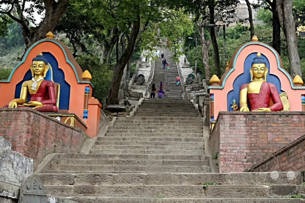 Die Stufen zur Swayambhunath-Stupa in Kathmandu, Nepal, werden von kunstvollen Buddha-Statuen flankiert, die den Aufstieg säumen. Menschen steigen die langen Steintreppen hinauf, umgeben von üppigem Grün und spiritueller Atmosphäre.