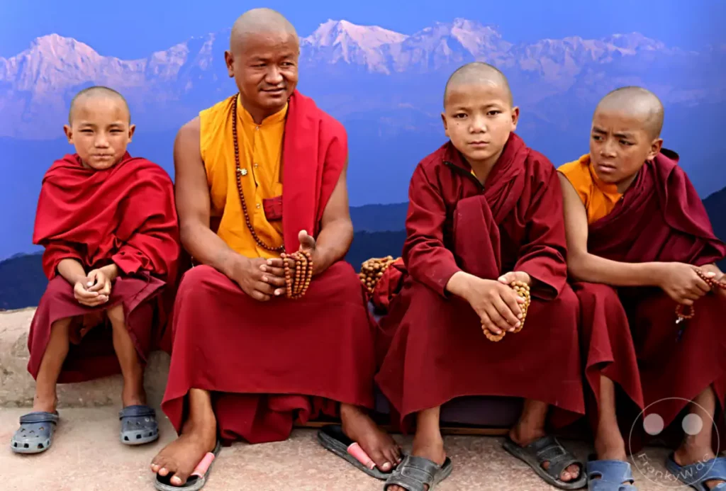 Vier junge Mönch-Schüler sitzen in ihren traditionellen roten Roben vor einer Bergkulisse. Zwei von ihnen halten Meditationsperlen in den Händen und blicken nachdenklich in die Kamera. Die Szene strahlt eine ruhige und kontemplative Atmosphäre aus.
