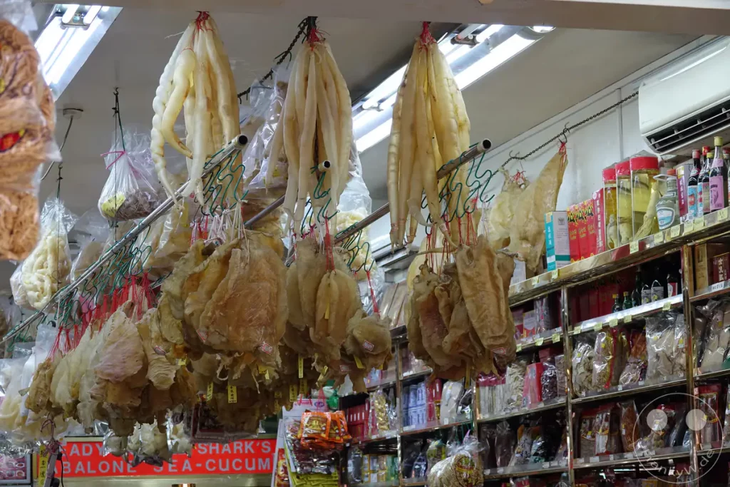 Ein Geschäft in Chinatown, Singapur, präsentiert eine beeindruckende Auswahl an getrockneten Delikatessen, die von der Decke hängen. Regale im Hintergrund sind gefüllt mit weiteren verpackten Lebensmitteln und Flaschen, was auf ein reiches kulinarisches Angebot hinweist. Das Bild vermittelt die lebendige Atmosphäre eines traditionellen asiatischen Marktes.