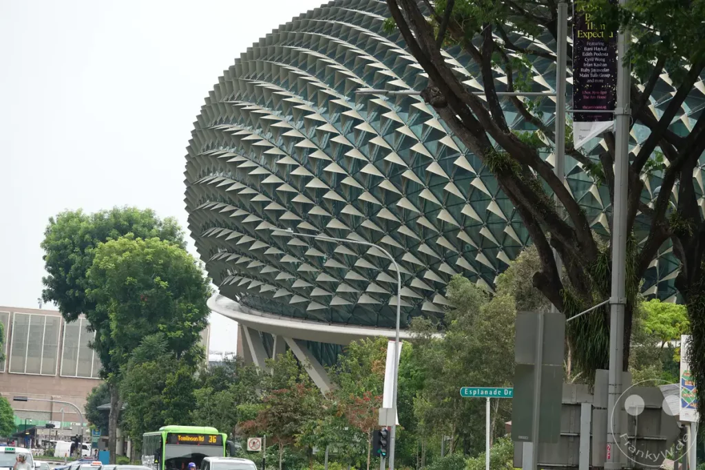 Die markante Fassade des Esplanade Theatres on the Bay in Singapur dominiert den Hintergrund. Grüne Bäume und Stadtverkehr, einschließlich eines grünen Busses, prägen die Vorder- und Mittelgrundszene. Ein Straßenschild für den Esplanade Drive weist auf den Standort hin und vermittelt ein Gefühl urbaner Betriebsamkeit.