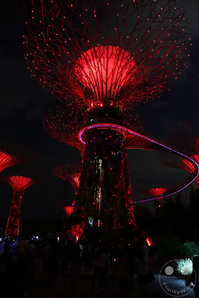 Nachts sind die Supertrees im Gardens by the Bay in Singapur spektakulär beleuchtet. Die roten Lichter erzeugen eine futuristische und magische Atmosphäre. Besucher bestaunen die beeindruckende Lichtinstallation in der tropischen Nacht.