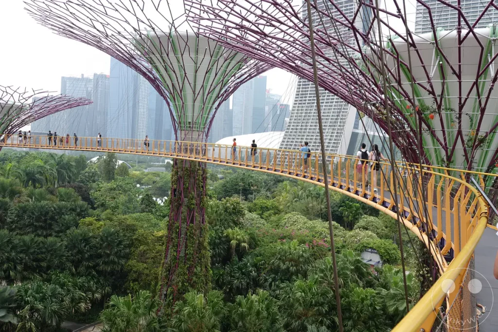 Eine erhöhte Fußgängerbrücke schlängelt sich durch üppige tropische Vegetation in den Gardens by the Bay in Singapur. Menschen spazieren über die gelbe Brücke und genießen den Blick auf die futuristischen Supertree-Strukturen und die umliegende Stadtlandschaft. Die Szene vermittelt ein Gefühl von Entdeckung und einer harmonischen Verschmelzung von Natur und moderner Architektur.
