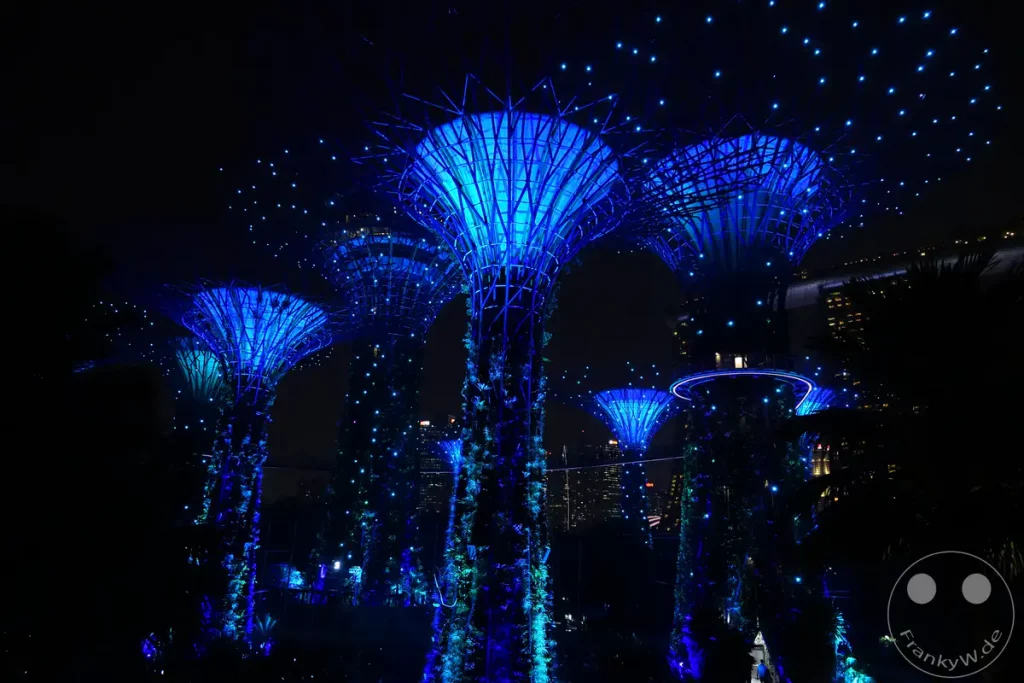 Der Supertree Grove in den Gardens by the Bay erstrahlt nachts in einem faszinierenden blauen und grünen Licht. Zahlreiche kleine Lichter funkeln auf den Strukturen und erzeugen eine magische Atmosphäre. Die Szenerie wird durch die dunkle Nacht und die angestrahlten Baum-ähnlichen Gebäude, die wie futuristische Riesenpilze wirken, unterstrichen.