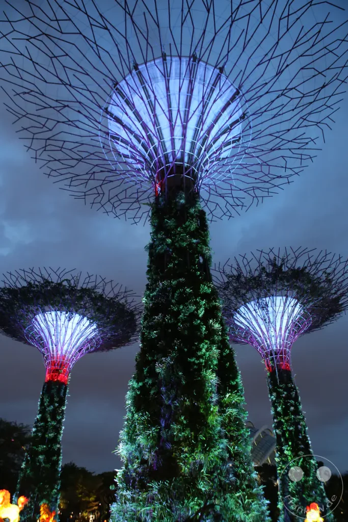 Die ikonischen Supertrees des Gardens by the Bay in Singapur werden bei Nacht eindrucksvoll von innen beleuchtet. Das komplexe Netzwerk aus Metall und Pflanzen wird von blauem und rotem Licht durchflutet, was eine futuristische und magische Atmosphäre schafft. Die dunkle Abendhimmelkulisse hebt die leuchtenden Strukturen hervor und betont ihre organische, baumähnliche Form.