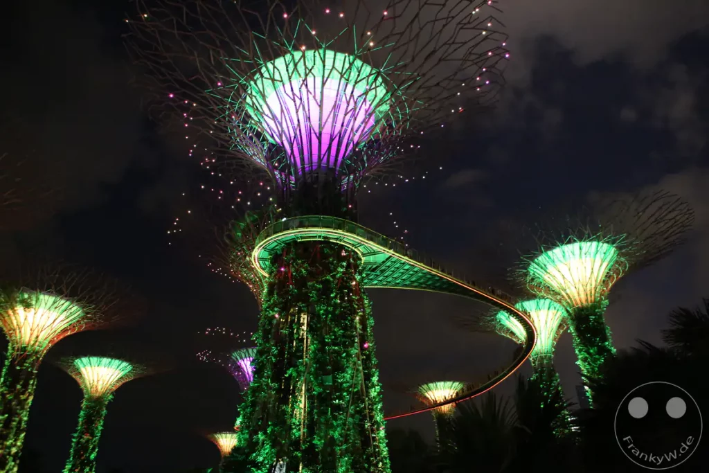Die Supertrees im Gardens by the Bay in Singapur sind nachts in lebhaften Farben beleuchtet. Ein begehbarer Skywalk verbindet die beeindruckenden Baum-ähnlichen Strukturen. Die Szenerie erzeugt eine futuristische und märchenhafte Atmosphäre in der Dunkelheit.