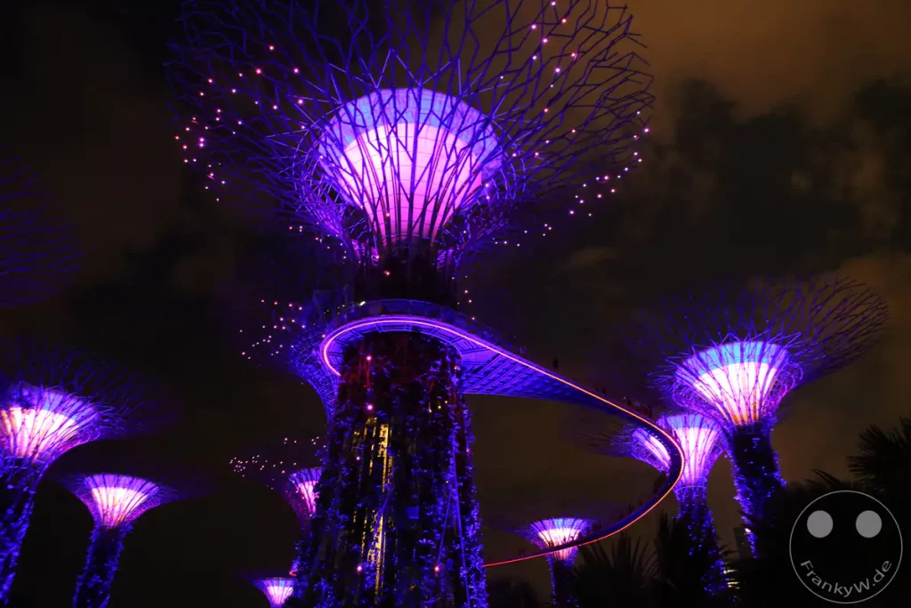 Die Supertrees im Gardens by the Bay in Singapur sind bei Nacht beeindruckend beleuchtet. Die künstlichen Bäume strahlen in kräftigen Lila- und Rottönen und schaffen eine futuristische Atmosphäre. Ein bepflanzter Skywalk schlängelt sich zwischen den gigantischen Strukturen hindurch und bietet einen atemberaubenden Blick.