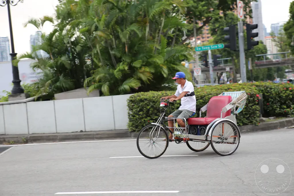 Ein Mann fährt ein buntes, dreirädriges Fahrrad, das als "Tuk-Tuk" bekannt ist, durch eine städtische Straße in Singapur. Der Fahrer trägt eine blaue Kappe und ein weißes T-Shirt, während er über den Asphalt fährt. Palmen und grüne Büsche säumen die Straße und schaffen eine tropische Kulisse für diese alltägliche Szene.