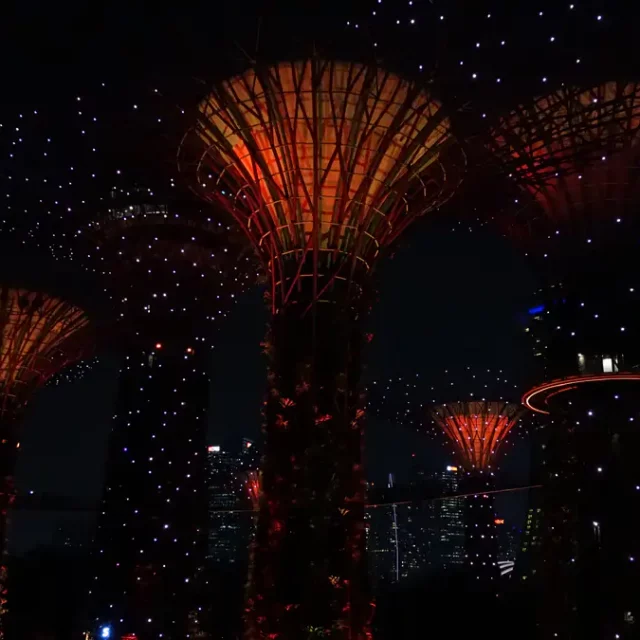 Nachts werden die Supertrees im Gardens by the Bay in Singapur mit tausenden von Lichtern beleuchtet. Die imposante Beleuchtung hebt die futuristische Architektur hervor und schafft eine magische Atmosphäre. Im Hintergrund ist die glitzernde Skyline der Metropole zu sehen.