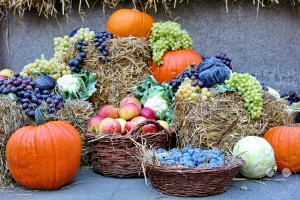 Ein reichhaltiger Herbstschmuck auf dem Nikolaikirchhof in Leipzig präsentiert eine Fülle von Ernteprodukten. Verschiedene Kürbisse, Trauben, Äpfel, Kohl und Blumenkohl sind kunstvoll auf Strohballen arrangiert und erzeugen eine festliche Atmosphäre. Diese Darstellung der Erntezeit lädt zum Genießen und zur Wertschätzung der Gaben der Natur ein.
