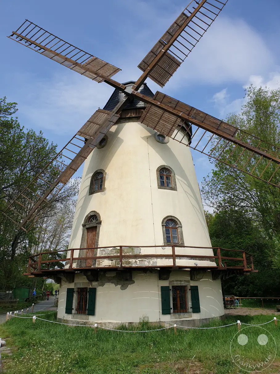 Eine historische, cremefarbene Turmholländer-Windmühle erhebt sich hinter einer saftig grünen Wiese unter einem leicht bewölkten Frühlingshimmel in Dresden. Die restaurierte Windmühle mit ihren markanten Holzflügeln wird von dichten, blühenden Büschen und Bäumen gesäumt. Eine idyllische, ländliche und zu einer Rast einladende Stimmung prägt diese Szene am beliebten Elberadweg in Deutschland.