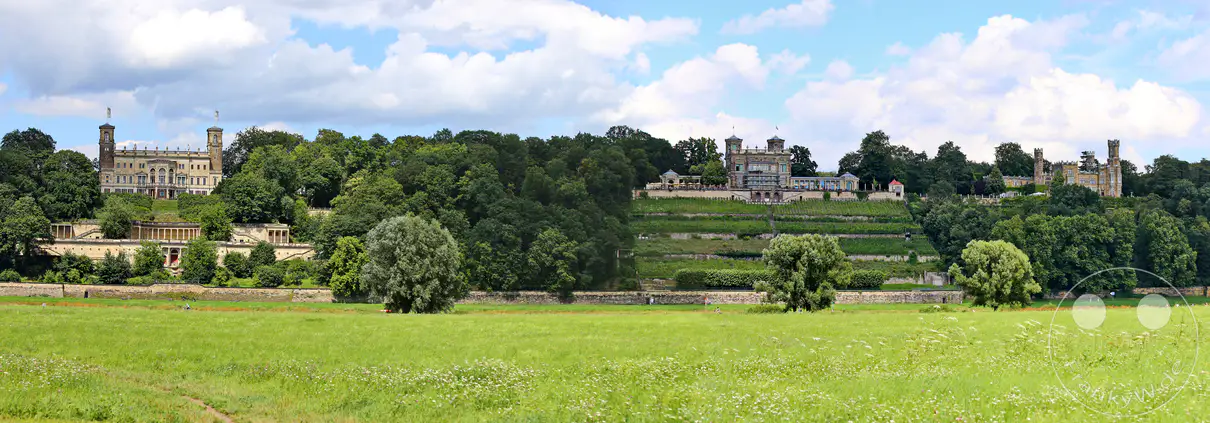 Die beeindruckenden drei Elbschlösser, darunter Schloss Albrechtsberg, erheben sich majestätisch über der Elbe in Dresden, umgeben von üppigem Grün und terrassierten Weinbergen. Ein weitläufiges, sonniges Wiesenfeld erstreckt sich im Vordergrund, durchzogen von kleinen Wildblumen, und lädt zum Verweilen und Genießen der friedlichen Atmosphäre ein. Zahlreiche Bäume und eine historische Mauer säumen das Ufer, während der strahlend blaue Himmel mit einigen Schäfchenwolken die malerische Kulisse vervollständigt.