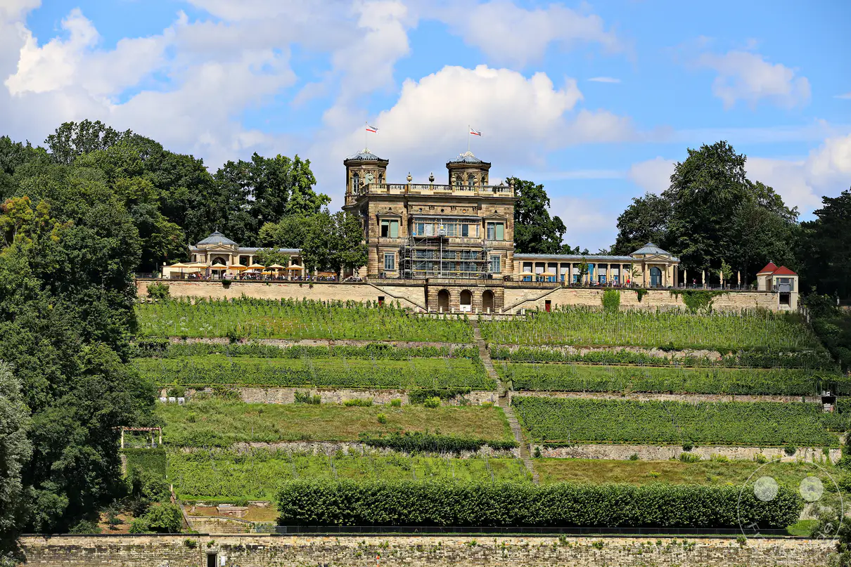 Das Lingnerschloss thront majestätisch über den Terrassen und Weinbergen Dresdens. Die Architektur des Schlosses, kombiniert mit der grünen Idylle der Terrassen, strahlt eine Atmosphäre von historischer Eleganz und ländlicher Schönheit aus. Zahlreiche gelbe Sonnenschirme laden auf der Schlossmauer zum Verweilen ein und vermitteln eine entspannte Sommerstimmung in dieser malerischen Landschaft Sachsens.