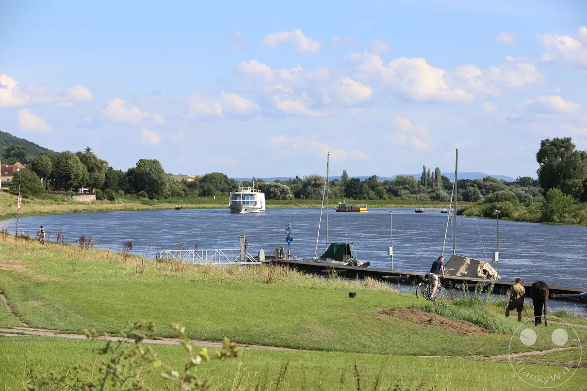 Ein breiter Fluss mit einem Ausflugsschiff und einer gelben Fähre fließt durch eine grüne Landschaft, flankiert von Bäumen und einem Uferweg. Am Ufer sind ein Radfahrer und eine Person mit einem Pferd zu sehen, während im Hintergrund Häuser und Hügel aufragen. Die Szene strahlt eine friedliche Sommerstimmung in Deutschland aus.