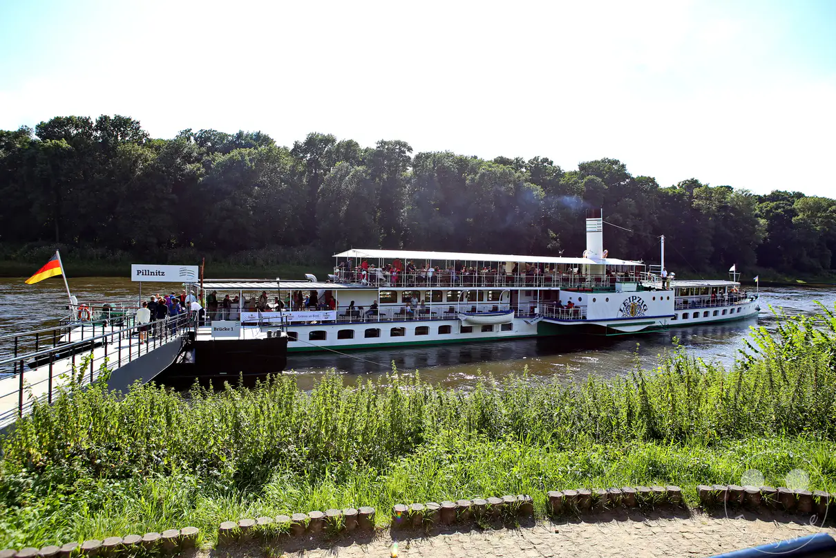 Ein Dampfschiff der Sächsischen Dampfschifffahrt liegt am Anleger Pillnitz an der Elbe. Viele Passagiere warten auf dem Oberdeck und dem Anleger, um an Bord zu gehen. Sonnenschein und grüne Uferbepflanzung schaffen eine sommerliche Atmosphäre auf dem Fluss.