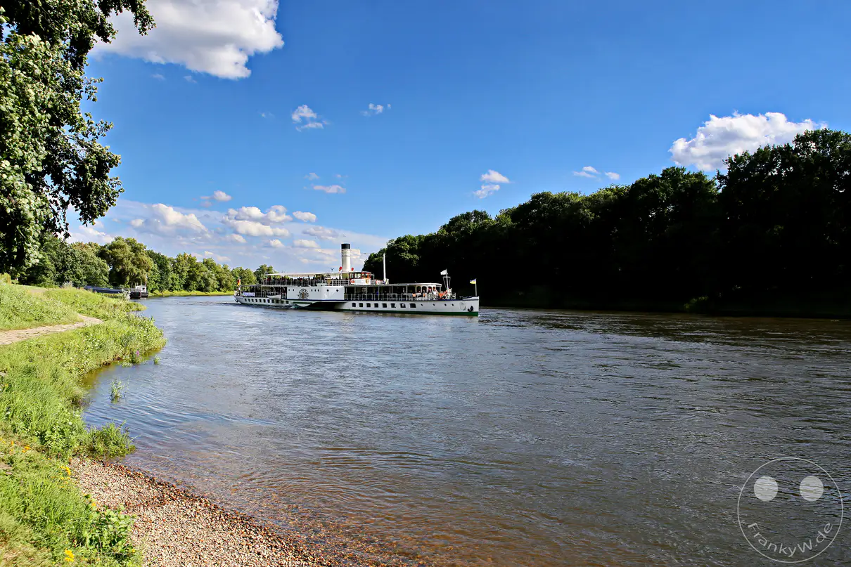 Ein majestätisches Dampfschiff, die "Weisse Flotte" der Sächsischen Dampfschifffahrt, gleitet ruhig über die Elbe bei Pillnitz, Deutschland. Üppig grüne Uferlandschaften und ein strahlend blauer Himmel mit vereinzelten Wolken schaffen eine idyllische und friedliche Atmosphäre. Die Szene lädt zum Verweilen und Genießen der Flusslandschaft ein.
