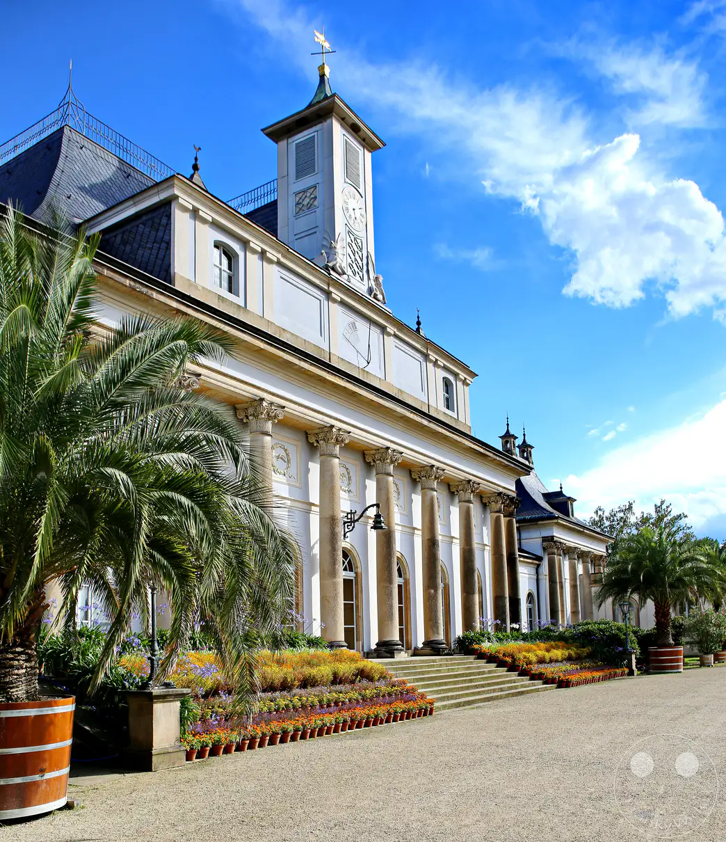 Die beeindruckende Fassade des Neuen Palais in der Sommerresidenz Schloss Pillnitz in Dresden, Deutschland, präsentiert sich unter einem strahlend blauen Himmel mit vereinzelten Wolken. Üppige Palmen und sorgfältig angelegte Blumenbeete säumen den Weg zur Treppe, was eine warme und einladende Atmosphäre im Sommer schafft. Die Säulen und architektonischen Details des Gebäudes unterstreichen seine historische Bedeutung und architektonische Schönheit.