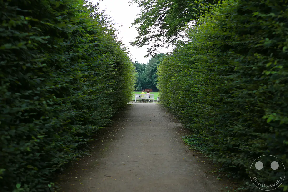 Ein gerader, heller Kiesweg erstreckt sich zentral durch eine Allee aus hoch gewachsenen, dicht belaubten Hecken im Schlosspark von Pillnitz. Die exakt in Form geschnittenen grünen Wände flankieren den Pfad auf der linken und rechten Seite und fluchten auf einen fernen, hellen Durchgang zu. Über dem schattigen Spazierweg bildet das dichte Blätterdach hoher Parkbäume ein natürliches Gewölbe, das nur vereinzelt Sonnenlicht durchlässt. Am Ende der Sichtachse öffnet sich der schmale Korridor zu einem hell erleuchteten Bereich im Hintergrund des weitläufigen Barockgartens.