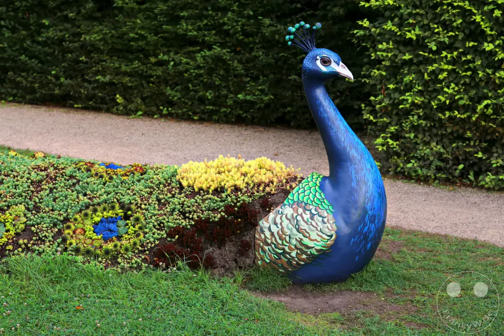 In der Sommerresidenz Schloss Pillnitz, Deutschland, ziert eine farbenfrohe Pfauenskulptur einen liebevoll gestalteten Gartenbereich. Die Skulptur hebt sich von der üppigen Flora und dem gepflegten Rasen ab und verleiht der Szenerie eine verspielte Note. Ein Kiesweg und eine dichte grüne Hecke bilden den Hintergrund für dieses detailreiche Kunstwerk im Freien.