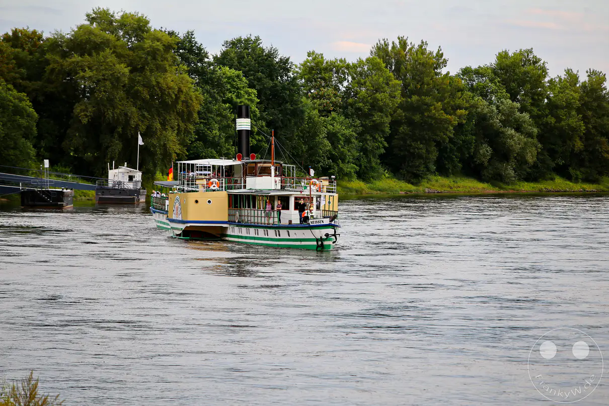 Ein historisches Dampfschiff fährt auf der Elbe in der Nähe von Pillnitz, Deutschland. Die Ufer sind mit üppigen grünen Bäumen gesäumt, die eine ruhige und idyllische Szenerie schaffen. Die Fahrt auf dem Wasserweg vermittelt ein Gefühl von Gelassenheit und historischer Romantik.