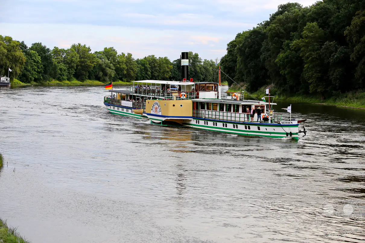 Ein historisches Dampfschiff gleitet ruhig auf der Elbe bei Pillnitz, umgeben von üppigem Grün. Passagiere genießen die entspannte Fahrt auf dem Fluss, während die sächsische Dampfschifffahrt ihre Tradition fortsetzt. Die friedliche Szenerie lädt zum Verweilen und Genießen der Natur ein.