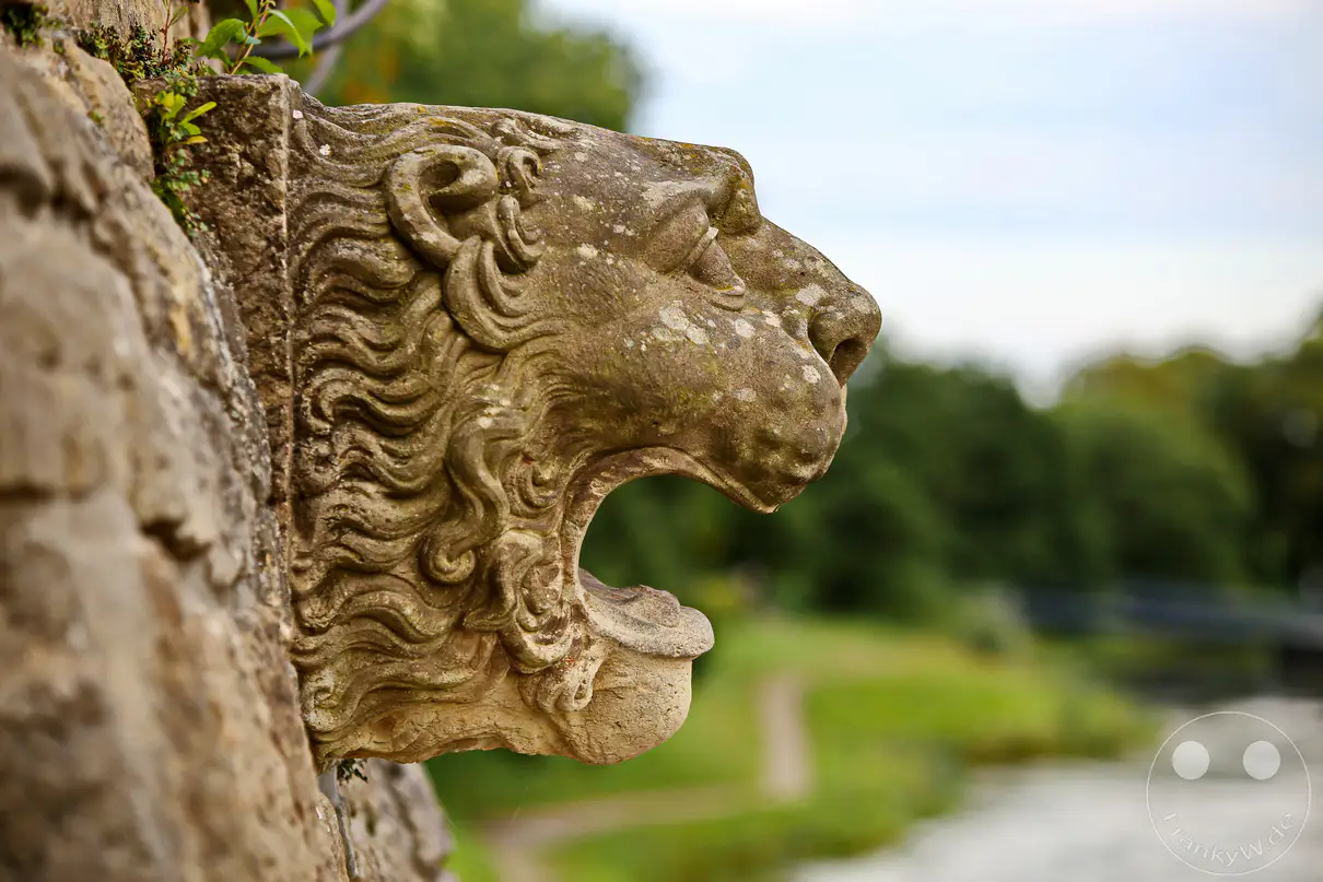 Ein steinerner Löwenkopf, der aus einer Felswand ragt, ziert die Anlage der Sommerresidenz Schloss Pillnitz in Deutschland. Die Skulptur ist teilweise von Moos und kleinen Pflanzen überwuchert, was ihr ein altes und verwunschenes Aussehen verleiht. Im Hintergrund verschwimmt eine grüne Landschaft mit einem Fluss und einem bewölkten Himmel, was eine ruhige und leicht melancholische Stimmung erzeugt.