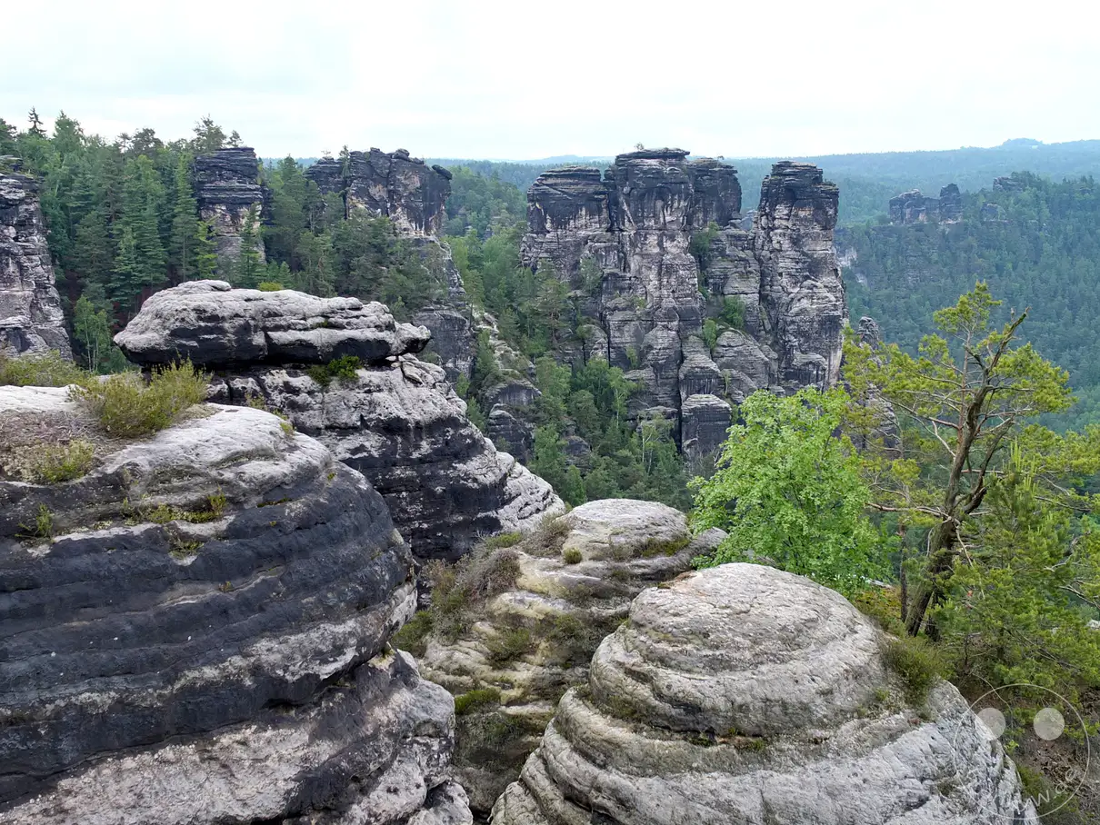 Zu sehen ist die zerklüftete Felslandschaft der Kleinen Gans im Nationalpark Sächsische Schweiz. Mächtige, dunkel geaderte Felstürme und Sandsteinnadeln ragen imposant aus den tiefen, bewaldeten Schluchten empor. Im Vordergrund bestimmen charakteristisch geschichtete, rundliche Felskuppen mit spärlichem Bewuchs die Szenerie. Ein dichter Teppich aus grünen Nadel- und Laubwäldern erstreckt sich weitläufig zwischen den Felswänden bis zum Horizont.