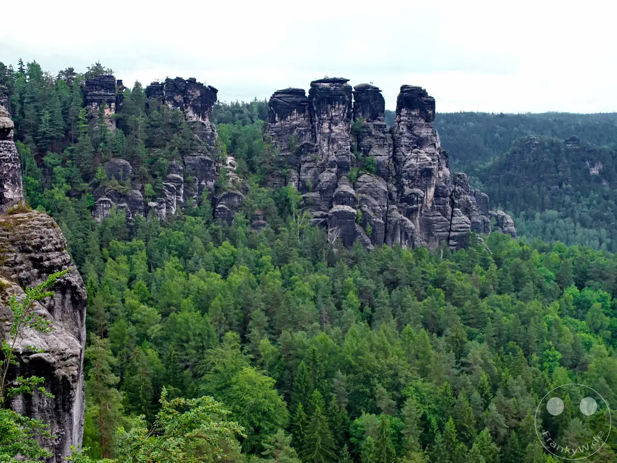 Zu sehen ist eine weitläufige Ansicht der markanten Felsformation Kleine Gans im Basteigebiet. Die gewaltigen, dunkel verwitterten Sandsteinnadeln und Felstürme ragen imposant aus der umgebenden Landschaft empor. Ein dichter, sattgrüner Teppich aus Nadel- und Laubbäumen bedeckt die tiefen Schluchten und Täler zwischen den Felswänden. Am linken Bildrand erhebt sich eine steile Felswand im Vordergrund, während sich im Hintergrund weitere bewaldete Höhenzüge unter einem bewölkten Himmel erstrecken.