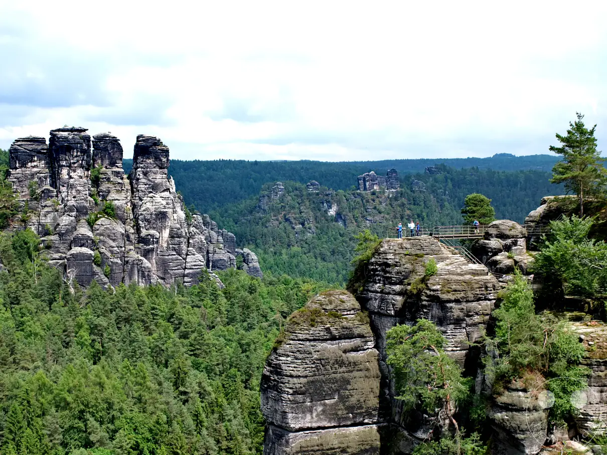 Zu sehen ist der Panoramablick von der bekannten Ferdinandaussicht im Basteigebiet des Elbsandsteingebirges. Auf einem markanten Felsplateau auf der rechten Seite befindet sich eine gesicherte Aussichtsplattform mit mehreren Besuchern. Links ragen die gewaltigen, geschichteten Sandsteinnadeln der Felsformation Kleine Gans imposant in die Höhe. Ein weiter, dichter Teppich aus grünen Mischwäldern füllt die tiefen Schluchten und Täler unter einem wolkenverhangenen Himmel.