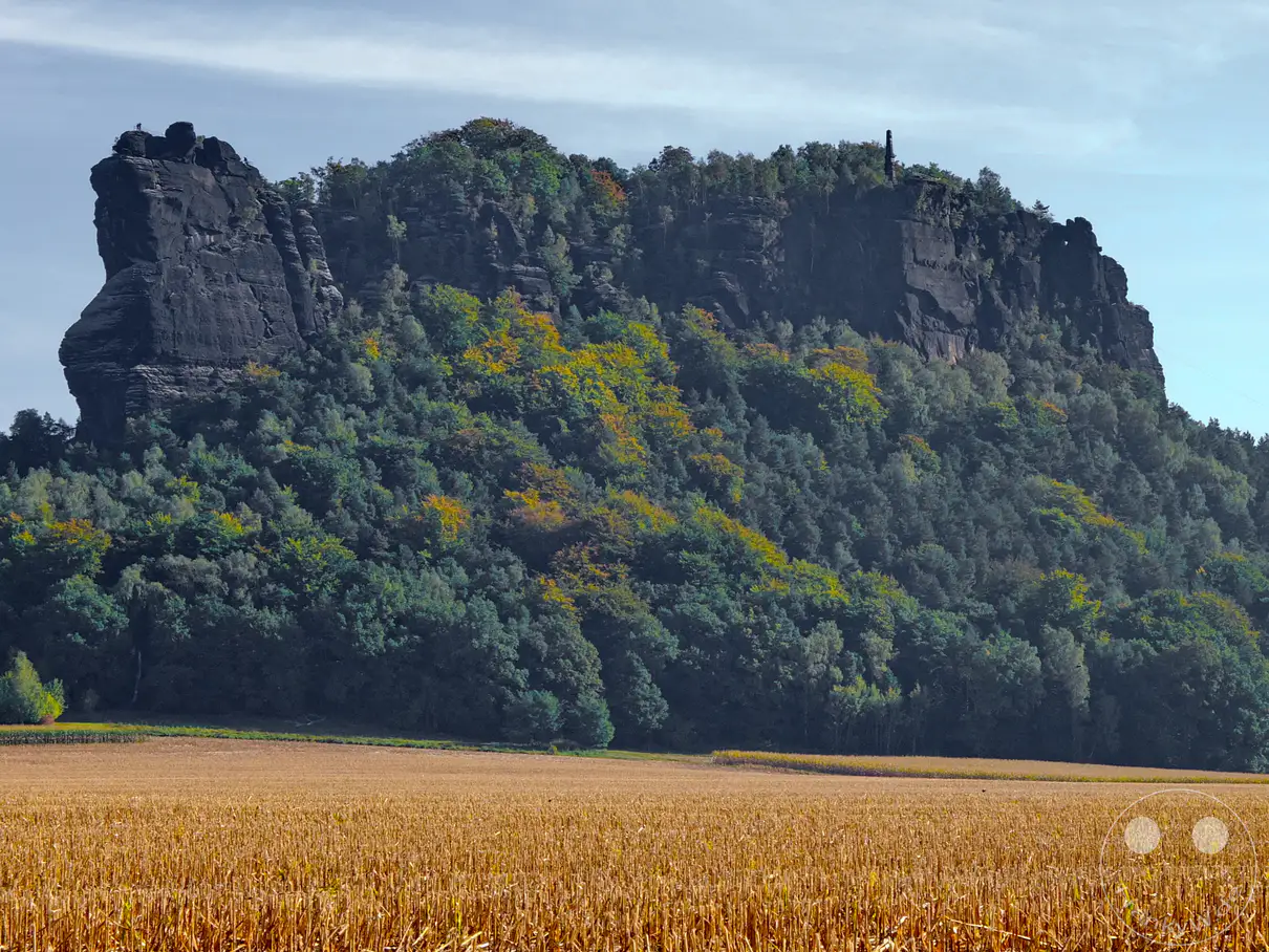 Der Lilienstein in der Sächsischen Schweiz erhebt sich majestätisch über einer herbstlich gefärbten Waldlandschaft. Auf seiner Spitze thront der charakteristische Obelisk, ein Denkmal für König Friedrich August I. Im Vordergrund erstreckt sich ein abgeerntetes Feld, das die natürliche Schönheit der Region unterstreicht.