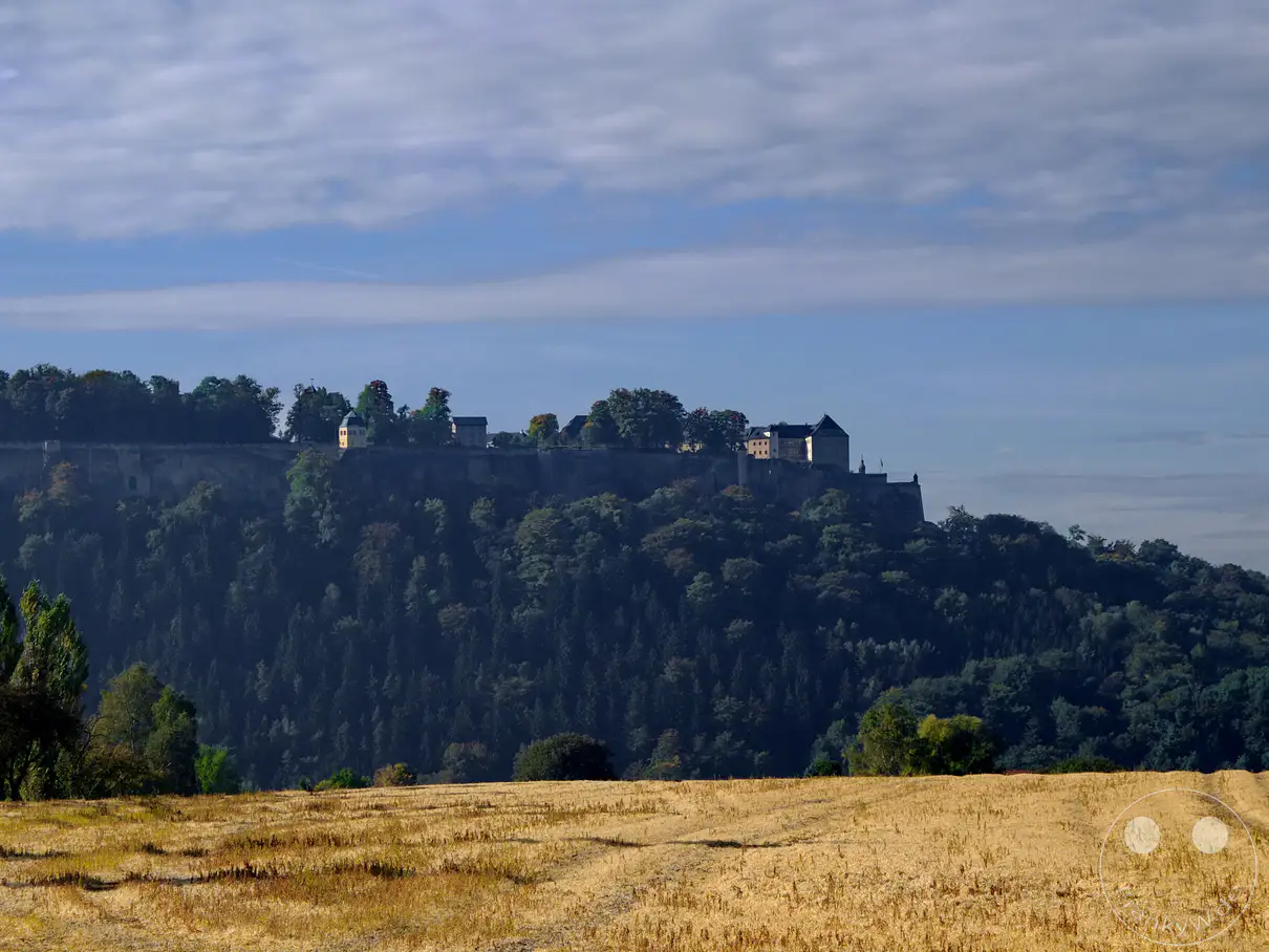 Die imposante Festung Königstein thront auf einem Tafelberg über dem Elbsandsteingebirge in der Sächsischen Schweiz. Umrahmt von dichtem Herbstwald und einem abgeernteten Feld unter einem blauen Himmel mit Schleierwolken, vermittelt die Szene eine friedliche und erhabene Atmosphäre. Die historische Festung und die natürliche Schönheit der Landschaft schaffen ein beeindruckendes Panorama.