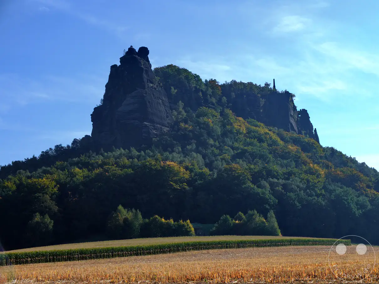 Das Elbsandsteingebirge in der Sächsischen Schweiz präsentiert majestätisch den Lilienstein unter einem strahlend blauen Himmel. Der Gipfel des Berges, gekrönt von der Wettin-Gedenkstätte und einem Obelisken, ragt über einem herbstlich gefärbten Wald empor. Vor dieser imposanten Kulisse erstreckt sich ein abgeerntetes Feld, das die ländliche Idylle der Region unterstreicht.