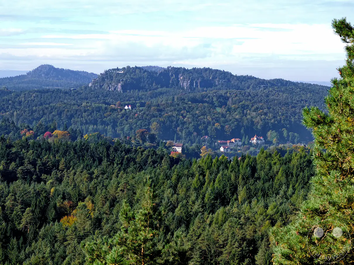 Ein weitläufiger Panoramablick erfasst die majestätische Landschaft der Sächsischen Schweiz, Deutschland, wo sich dichte Nadelwälder bis zu den Felsformationen des Elbsandsteingebirges erstrecken. Im Vordergrund dominieren grüne Nadelbäume, während in der Ferne auf den Hügeln einzelne Gebäude und Villages zu erkennen sind, die sich harmonisch in die herbstliche Szenerie einfügen. Die leichte Dunstschleppe am Horizont und die friedliche Atmosphäre laden zu einer entspannten Betrachtung der Natur ein.