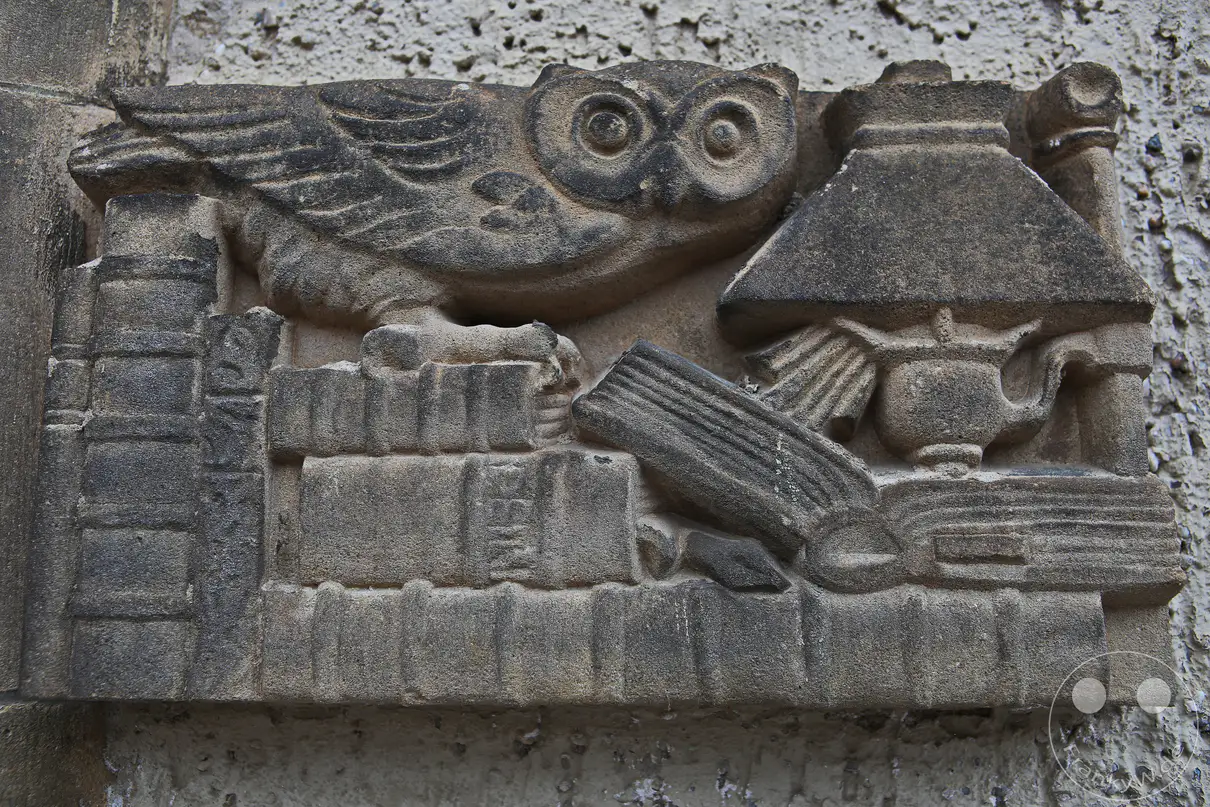 Ein detailreiches, historisches Steinrelief ist an einer rau verputzten Fassadenwand des Stadtmuseums in Meißen angebracht. Das plastisch ausgearbeitete Motiv zeigt eine sitzende Eule mit großen, runden Augen als klassisches Symbol der Weisheit. Der Vogel ruht auf einem Stapel unregelmäßig geschichteter Bücher, neben denen eine antike Öllampe mit einem breiten Schirm dargestellt ist. Die gesamte sandsteinartige Skulptur fügt sich als dekoratives Bauelement direkt in das historische Mauerwerk der Außenwand ein.